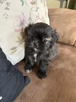 processed/99c90709-d8b3-44de-a8dd-b83116221aa0/listing/24e2c0b3-cc40-4278-b62d-ea8b51ce769c/11874279-b7a1-455a-8d9c-d5920da9e394