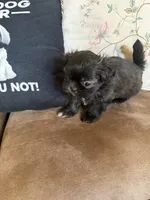 processed/99c90709-d8b3-44de-a8dd-b83116221aa0/listing/24e2c0b3-cc40-4278-b62d-ea8b51ce769c/25bf1536-44e6-49d5-bd55-27d0f4152d3c