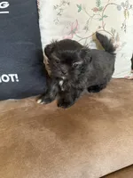 processed/99c90709-d8b3-44de-a8dd-b83116221aa0/listing/24e2c0b3-cc40-4278-b62d-ea8b51ce769c/451284b0-b76b-4ce0-8b58-bc67e474d310