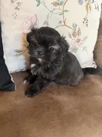 processed/99c90709-d8b3-44de-a8dd-b83116221aa0/listing/24e2c0b3-cc40-4278-b62d-ea8b51ce769c/d13ee281-3ab4-411b-a120-5562499f007d