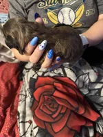 Lollipop, a female Shih Tzu for sale in Mobile, AL – 4 of 7
