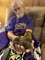 Patriot, a male Shih Tzu for sale in Mobile, AL – 3 of 10