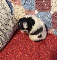 processed/99c90709-d8b3-44de-a8dd-b83116221aa0/listing/64e2216b-e500-4854-89eb-c998ad7e29d2/07fe77e4-3d79-4b84-9f51-4c11edaa5040