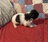 processed/99c90709-d8b3-44de-a8dd-b83116221aa0/listing/64e2216b-e500-4854-89eb-c998ad7e29d2/44fd75e4-1c27-49b8-a1e8-9f5c056c2ddb