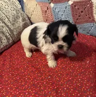 processed/99c90709-d8b3-44de-a8dd-b83116221aa0/listing/64e2216b-e500-4854-89eb-c998ad7e29d2/4c5b2028-4eaa-4986-8a52-0f7c14b380ad