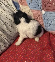 processed/99c90709-d8b3-44de-a8dd-b83116221aa0/listing/64e2216b-e500-4854-89eb-c998ad7e29d2/b8db7529-b512-4794-af71-d0368991b05b