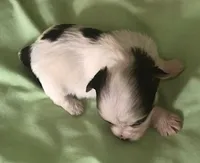 processed/99ccb7ac-15ab-499c-99c8-8aa40fb2a0d5/listing/20239daa-00f3-498e-b051-54c112e833ca/0654c172-9785-47c5-a842-b4b6f11b868d