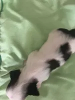 processed/99ccb7ac-15ab-499c-99c8-8aa40fb2a0d5/listing/20239daa-00f3-498e-b051-54c112e833ca/f2d1bbfb-9e38-4163-9eb8-08f1aa368450