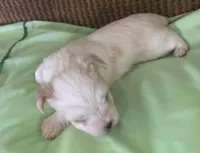 processed/99ccb7ac-15ab-499c-99c8-8aa40fb2a0d5/listing/4bf5f469-0f68-4e7a-83e5-c7228d9a7642/2668a753-ea48-45ed-9cbb-245c351032f7