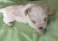 processed/99ccb7ac-15ab-499c-99c8-8aa40fb2a0d5/listing/4bf5f469-0f68-4e7a-83e5-c7228d9a7642/575296cc-e0d4-4461-b695-be375b7e7268