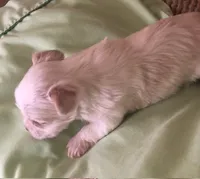 processed/99ccb7ac-15ab-499c-99c8-8aa40fb2a0d5/listing/4bf5f469-0f68-4e7a-83e5-c7228d9a7642/98e62d4d-eb30-4d16-8631-7216cc8362ba