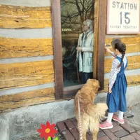 Bear, a male Golden Retriever and English Cream Golden Retriever for sale in Grand Island, NE – Photo 4 of 9