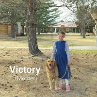 Bear, a male Golden Retriever and English Cream Golden Retriever for sale in Grand Island, NE – Photo 5 of 9