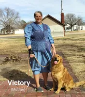 Beulah, a female Golden Retriever for sale in Grand Island, NE – Photo 6 of 8