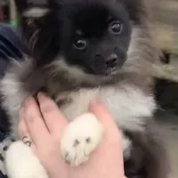 processed/99d521de-c192-4d92-855d-7c15916bac60/facility/121b5817-529d-4229-830b-15175ed5a9b5