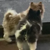 processed/99d521de-c192-4d92-855d-7c15916bac60/facility/599b05ab-f2ce-4e3b-afac-8b63f0bed98d