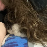 processed/99d521de-c192-4d92-855d-7c15916bac60/facility/7ff056eb-a35b-4c3b-9dfc-4a2a328d4d5f