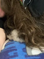 processed/99d521de-c192-4d92-855d-7c15916bac60/facility/7ff056eb-a35b-4c3b-9dfc-4a2a328d4d5f