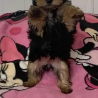 processed/99d521de-c192-4d92-855d-7c15916bac60/facility/80474073-f701-4a55-8e91-49848bad4379