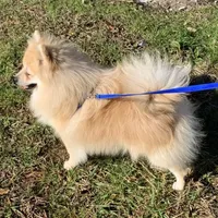 processed/99d521de-c192-4d92-855d-7c15916bac60/facility/9fb9271a-42ec-454a-8027-43063fd301b5