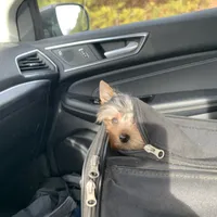 processed/99d521de-c192-4d92-855d-7c15916bac60/facility/b3ea92d7-6286-4d9a-a2d9-00fabe73d65a