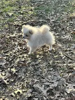 processed/99d521de-c192-4d92-855d-7c15916bac60/listing/8bcea95b-8f94-4072-9cb8-0cb8347de542/b81f55c1-c927-4aec-8813-0366b19e337b