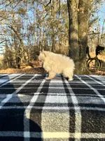 processed/99d521de-c192-4d92-855d-7c15916bac60/listing/8bcea95b-8f94-4072-9cb8-0cb8347de542/ba21334d-7742-4f79-85f5-bed3a01d74b3