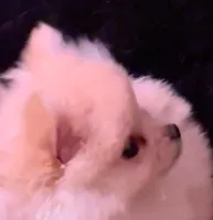 processed/99d521de-c192-4d92-855d-7c15916bac60/listing/a81475ce-ee70-43bd-a353-4f61ad3f31af/1af8a78c-73d3-49c7-b1cd-66aa5b76b162