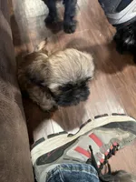 processed/99de7153-6c8e-441d-bbb1-c59aac674201/listing/860252df-a4ae-4455-a54f-b539692a6929/9b265a07-ec07-4068-9472-9f8d2508c696