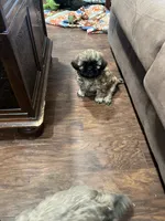 processed/99de7153-6c8e-441d-bbb1-c59aac674201/listing/860252df-a4ae-4455-a54f-b539692a6929/a4bfc055-8733-4954-b754-d45422ad7c8b