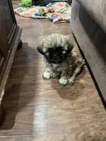 processed/99de7153-6c8e-441d-bbb1-c59aac674201/listing/860252df-a4ae-4455-a54f-b539692a6929/af416662-901a-4d1c-8ebd-8fb50cc89b43