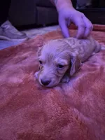 processed/99de7499-9d9f-4499-be6f-6c4218bb3fc0/listing/96124f30-f173-4896-ad1e-a06ccae2a51c/3dc4442f-a245-4374-8d17-2347fb473fa8