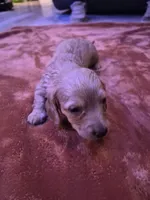 processed/99de7499-9d9f-4499-be6f-6c4218bb3fc0/listing/96124f30-f173-4896-ad1e-a06ccae2a51c/5824db33-1a55-4135-bff9-eae41fbc4601