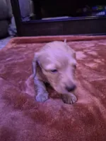 processed/99de7499-9d9f-4499-be6f-6c4218bb3fc0/listing/96124f30-f173-4896-ad1e-a06ccae2a51c/7ab2a9b5-386d-49b1-a0b5-4630ec280e50