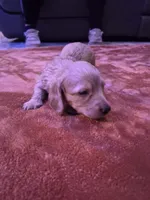 processed/99de7499-9d9f-4499-be6f-6c4218bb3fc0/listing/96124f30-f173-4896-ad1e-a06ccae2a51c/ab0264b0-5165-4ff0-a477-1e927e1cd4a8