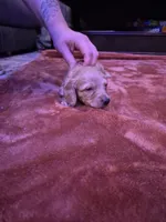 processed/99de7499-9d9f-4499-be6f-6c4218bb3fc0/listing/96124f30-f173-4896-ad1e-a06ccae2a51c/baff7e2a-5cd8-43b3-af1e-c38b3a16f4d5