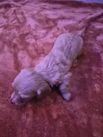 processed/99de7499-9d9f-4499-be6f-6c4218bb3fc0/listing/96124f30-f173-4896-ad1e-a06ccae2a51c/fffaacdc-f958-4cbc-a034-d2452e533eac