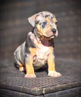 processed/99ded4ea-4c47-40a2-a866-f67a4ed62ddf/listing/89b35a09-5ee3-467f-8b02-03a7045e8cff/36fc2ef6-6e30-460b-bb6d-2857fc9d7bfa