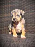 processed/99ded4ea-4c47-40a2-a866-f67a4ed62ddf/listing/89b35a09-5ee3-467f-8b02-03a7045e8cff/533477bf-5762-4550-ad63-d8a296f05e57