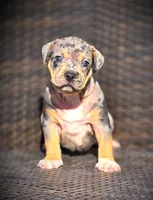 processed/99ded4ea-4c47-40a2-a866-f67a4ed62ddf/listing/89b35a09-5ee3-467f-8b02-03a7045e8cff/5794152a-7711-4814-8ca4-054a8bc53dd7