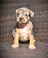 processed/99ded4ea-4c47-40a2-a866-f67a4ed62ddf/listing/89b35a09-5ee3-467f-8b02-03a7045e8cff/63623b1e-6e06-41b9-8ba1-089694694674