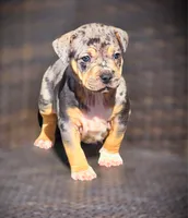 processed/99ded4ea-4c47-40a2-a866-f67a4ed62ddf/listing/89b35a09-5ee3-467f-8b02-03a7045e8cff/6c54c237-ccd6-487c-8f11-830cb79cbea0