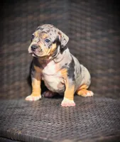 processed/99ded4ea-4c47-40a2-a866-f67a4ed62ddf/listing/89b35a09-5ee3-467f-8b02-03a7045e8cff/89650d2d-8cd9-4689-a13a-c2b4c2d451f5