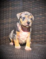 processed/99ded4ea-4c47-40a2-a866-f67a4ed62ddf/listing/89b35a09-5ee3-467f-8b02-03a7045e8cff/ca85d452-1aed-4574-8230-5dd59c70b36c