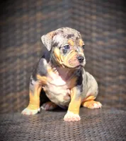 processed/99ded4ea-4c47-40a2-a866-f67a4ed62ddf/listing/89b35a09-5ee3-467f-8b02-03a7045e8cff/f028e01b-0ffe-489c-9b68-db9c268b6f1a