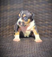 processed/99ded4ea-4c47-40a2-a866-f67a4ed62ddf/listing/9530655c-6eae-4219-827c-20cd304c393d/06c969fa-8661-4f08-9e79-31ccb51663d6