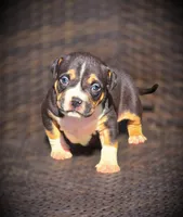 processed/99ded4ea-4c47-40a2-a866-f67a4ed62ddf/listing/9530655c-6eae-4219-827c-20cd304c393d/6bebe4f6-0ff0-45b9-9ffc-d777bffa1d2d