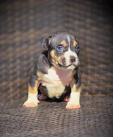 processed/99ded4ea-4c47-40a2-a866-f67a4ed62ddf/listing/9530655c-6eae-4219-827c-20cd304c393d/77507ad4-3722-4c34-86c8-96fec5532e31