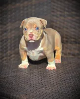 processed/99ded4ea-4c47-40a2-a866-f67a4ed62ddf/listing/dd4867af-f438-4f5e-9c72-3d2ac3981c08/2cbc220b-55d3-4d3a-94ae-69c42060835b