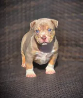 processed/99ded4ea-4c47-40a2-a866-f67a4ed62ddf/listing/dd4867af-f438-4f5e-9c72-3d2ac3981c08/50bc5058-c5fb-41a7-9ef2-1e2d03b81658